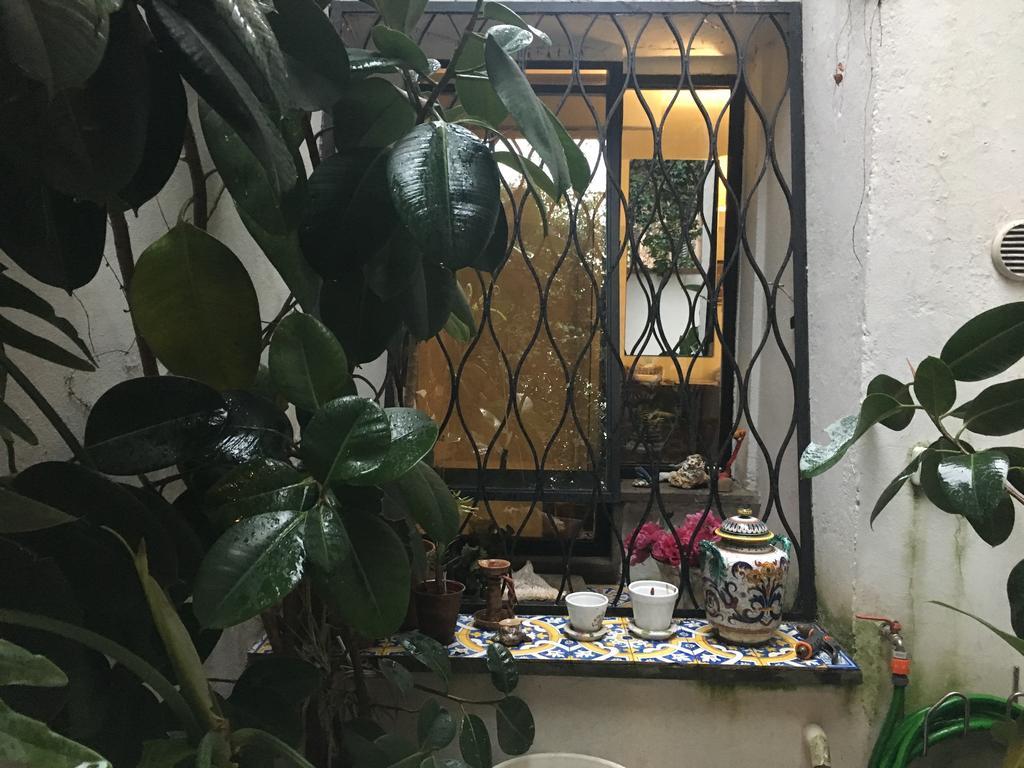 Apartment Garden Scarpetta